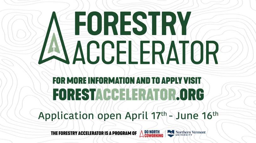 Forestry Accelerator program graphic
