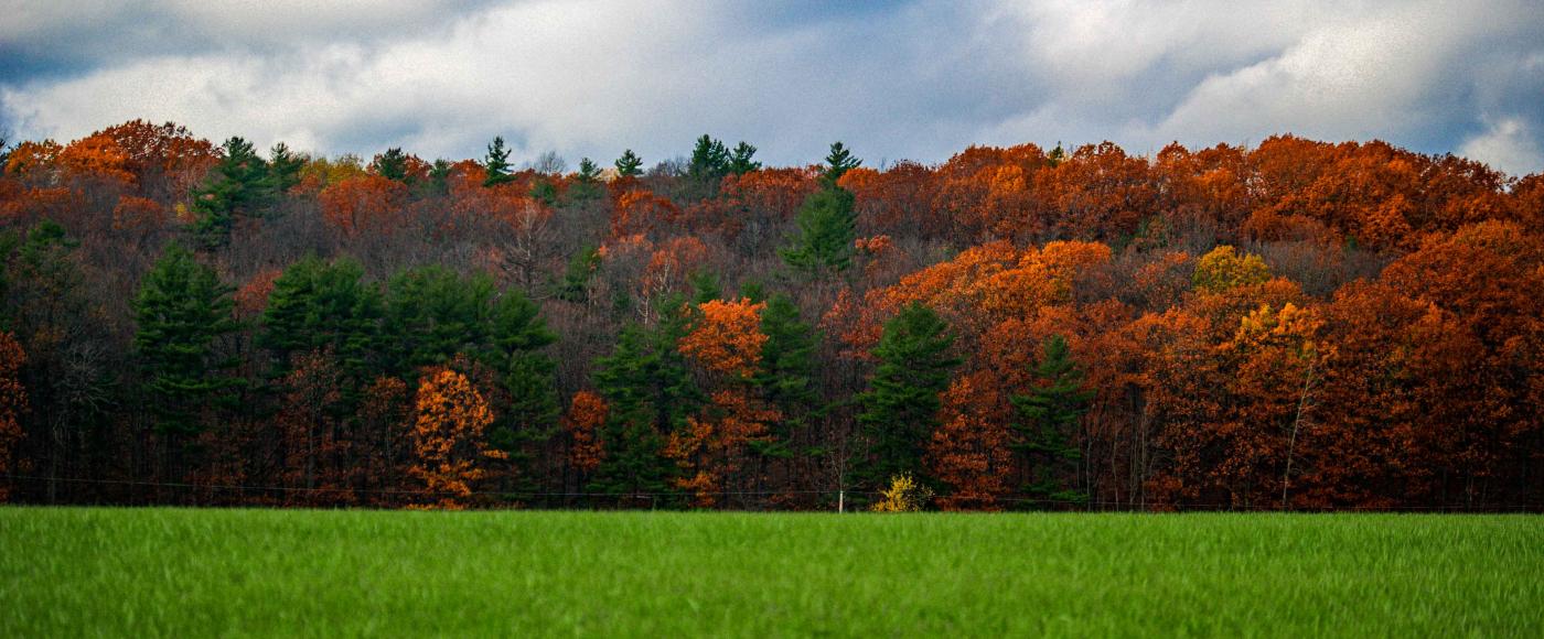 Fall In Vermont