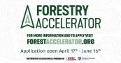 Forestry Accelerator program graphic